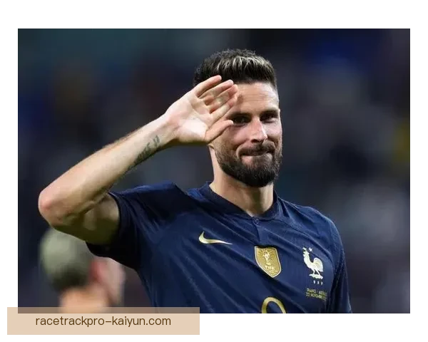 法国队高卢雄鸡在世界杯欧洲区预选赛中表现稳健