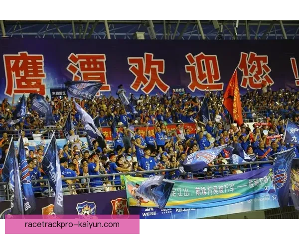 欧洲杯球迷氛围热烈，观赛热情持续高涨